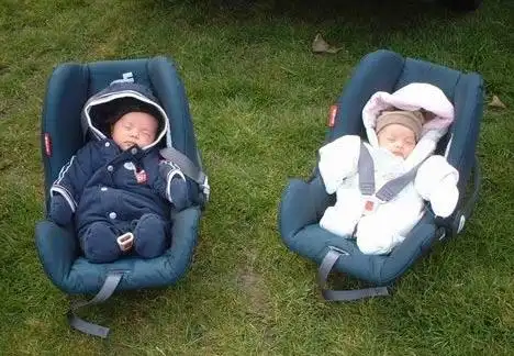 龙凤胎宝宝属牛起名技巧有哪些_启萌星国学文化网