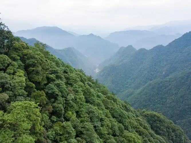 温州铜铃山国家森林公园素有小九寨之称周末度假好去处