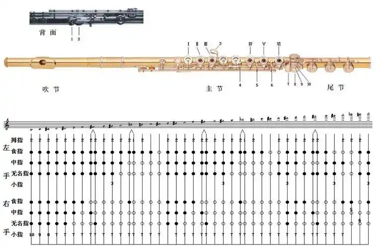 长笛指法