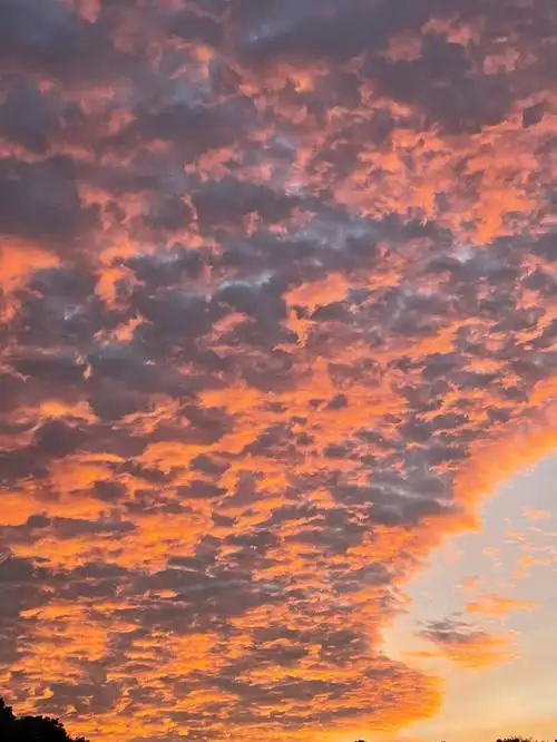 用手机拍下来了今天最美的晚霞,用眼睛深深的记下来天空的美和震撼