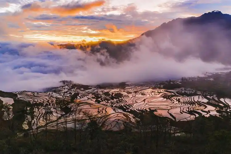 云南3～多依树梯田日出