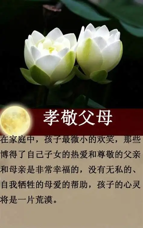 对于父母有谁真正做到问心无愧_亲情文章_雨露文章网