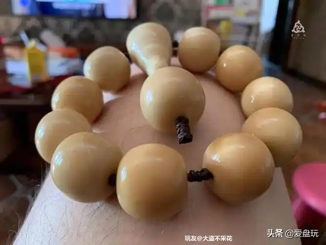 象牙果手串多少钱(这种不贵的小众手串)_小强知识网