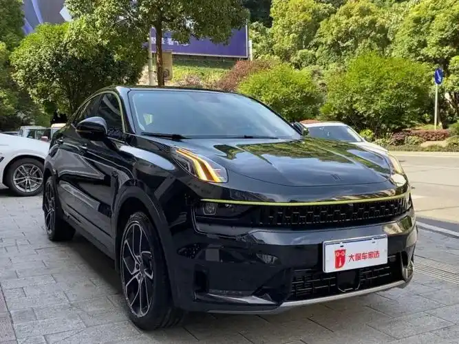 湖南二手车 郴州二手车报价 二手suv越野车 二手领克 二手领克05 详情