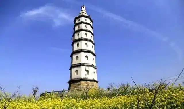 挂牌一年多,奉化区,令无数人向往!