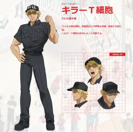 《工作细胞》开心的了解身体细胞运作原理吧