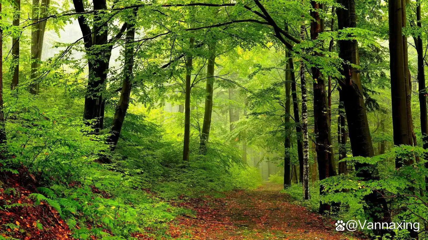 大自然风景美图集(一)