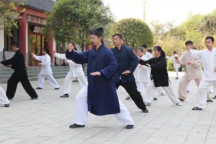 热烈祝贺太极拳申遗成功 - 武当师行太极道院