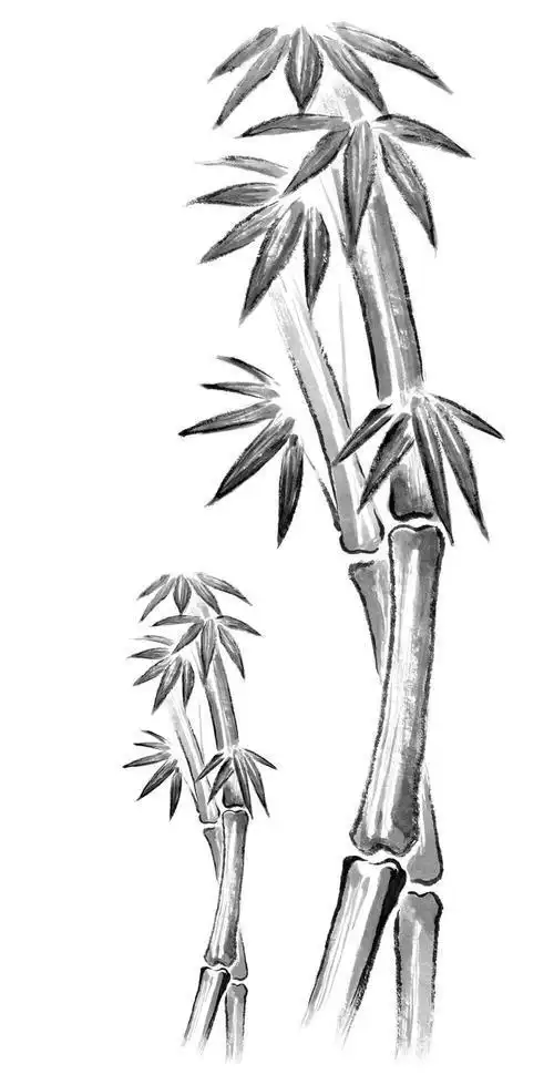 画竹林素描简笔画大图风景简笔画zhuzi简笔画竹林视频竹子简笔画3简易