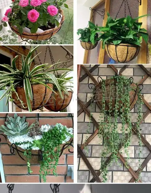 吊篮花盆吊兰半壁垂吊挂盆椰棕多肉绿萝种菜种花铁艺挂墙园艺吊盆8寸