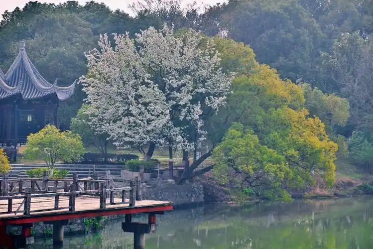 南昌八大山人梅湖景区打卡攻略来了!这个地