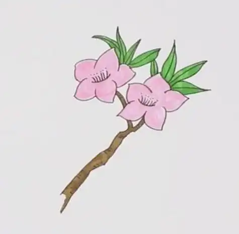 桃花简笔画儿童画步骤图教程 桃花花朵简笔画