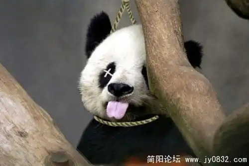 那吐舌头的小宝贝~千姿百态的ps图