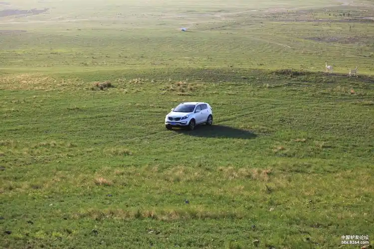 单车四人穿越蒙古大草原穿越大兴安岭森林 - 第3页 - 游记攻略 - 户外