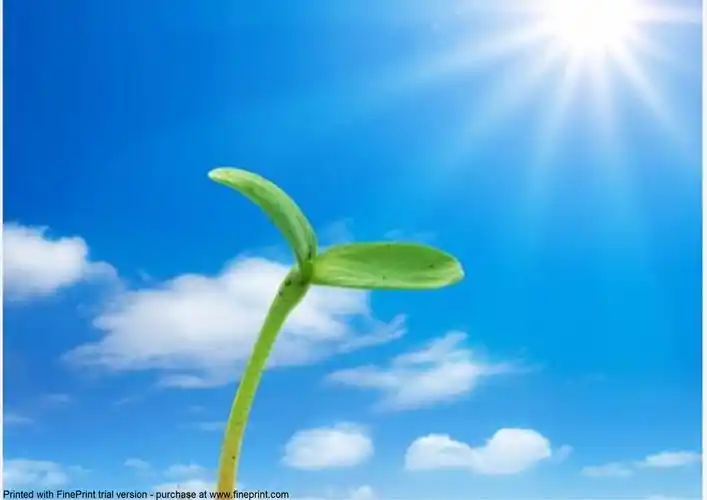 阳光的味道_钢弦_高音质在线试听_阳光的味道歌词|歌曲下载_酷狗音乐