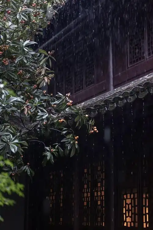 雨中的南京,太可了!