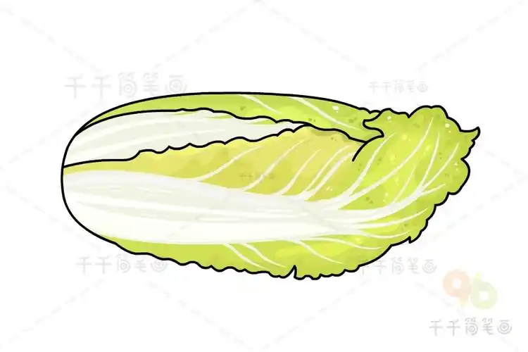 美味的娃娃菜简笔画