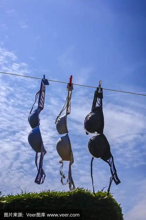 在晾衣绳上晾晒的胸罩