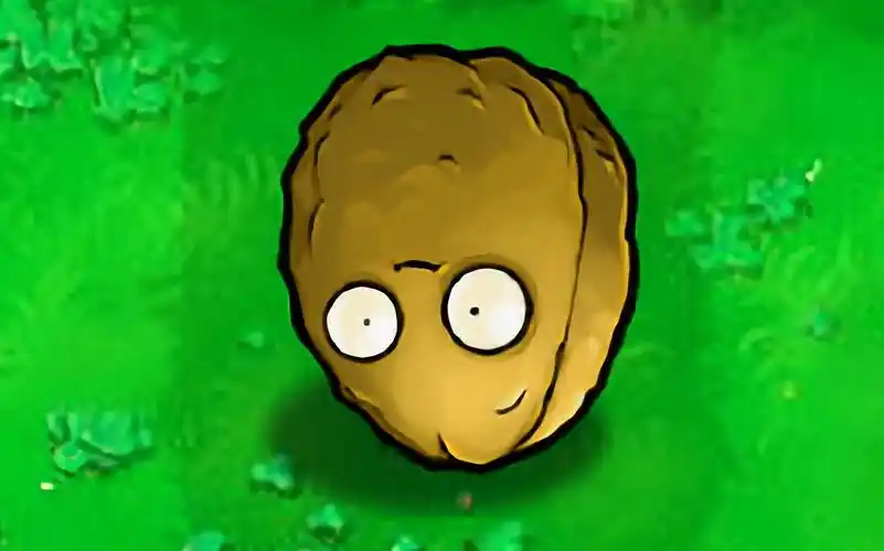 植物大战僵尸——很正常的坚果保龄球2