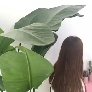 微信头像女背影唯美,高清好看的微信头像女唯美背影图片