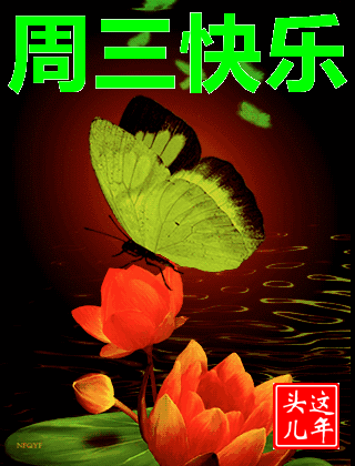 周三早上好问候祝福动态表情图片星期三早安加油