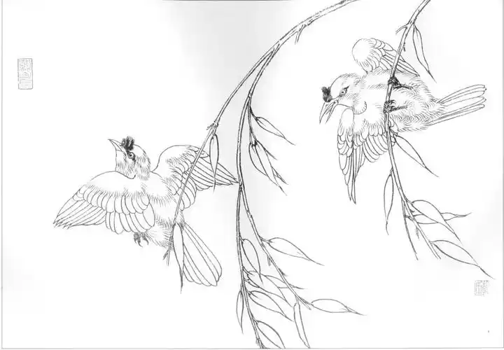 素材一组工笔画禽鸟白描稿30图以及画鸟的关键点值得收藏