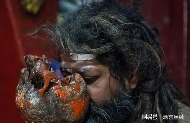 人类必须摄入的维生素和有机物,种种证据表明,印度食尸族一定会受到其