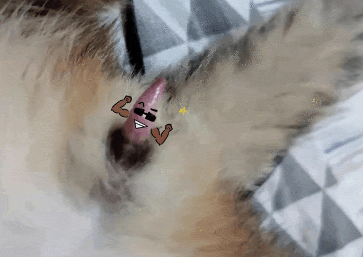 夜猫止 ls@not today21拿去,你要的蛋蛋!