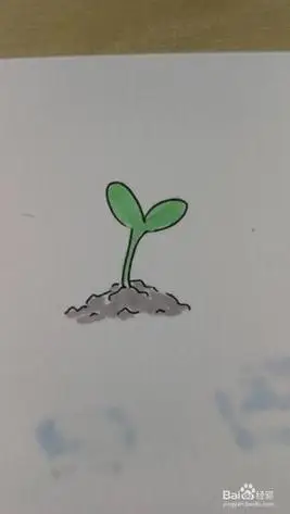 春天树小芽苞简笔画