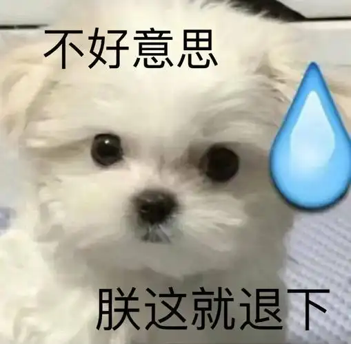 阿猫阿狗沙雕表情包