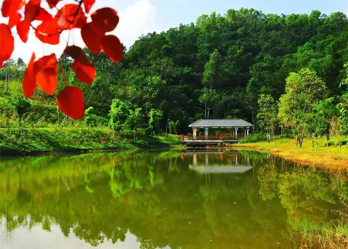 深圳十大免费特色的湖泊公园