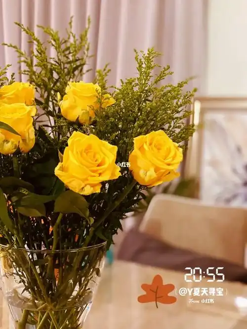 黄色玫瑰,黄莺配草