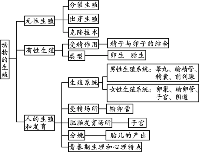 第9讲 人类和动物的生殖与发育