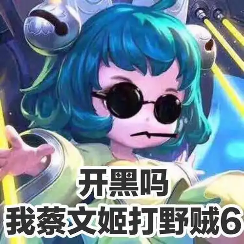 开黑吗我蔡文姬打野贼6蔡文姬打野开黑表情