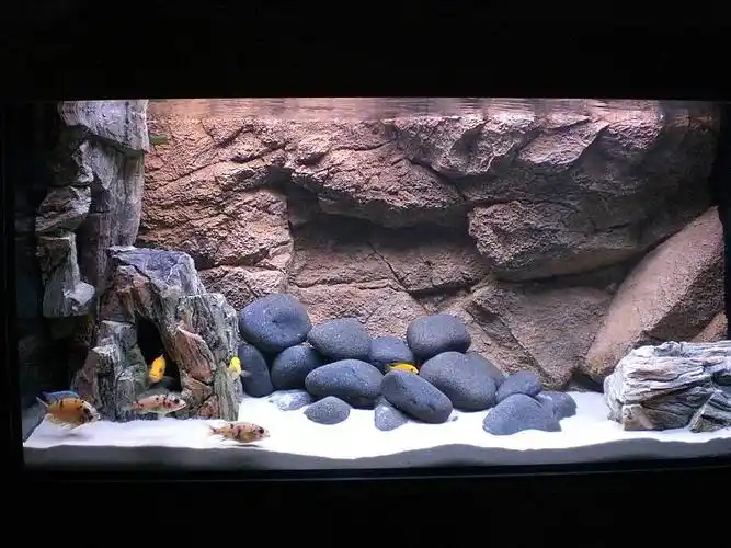 周末没事发些德国鱼友马湖鱼缸造景若干