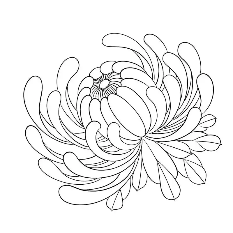 最近画的一些菊花线稿.可以直接用针式打印机#纹身手稿 #成都 - 抖音