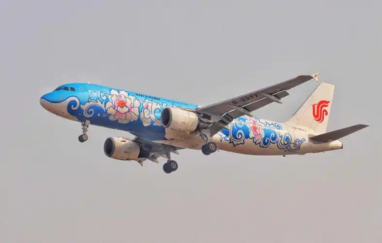 国航梦幻蓝牡丹号彩绘空客a320