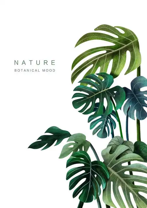 绿植|平面|图案|山知设计 - 原创作品 - 站酷 (zcool)