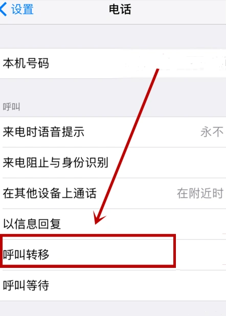 苹果6怎么设置呼叫转移到其他号码?