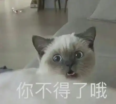 你不得了哦(猫咪表情包)_不得了_猫咪表情