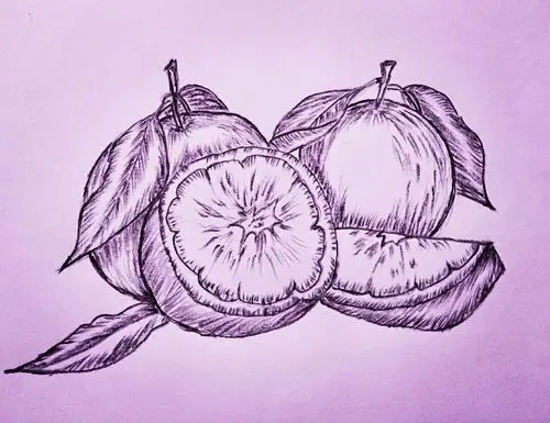 齐巧云初学铅笔画(水果篇)