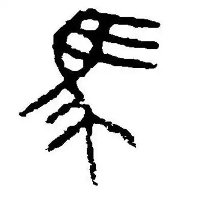 马字的20种写法图片 象马眼马鬃马尾之形