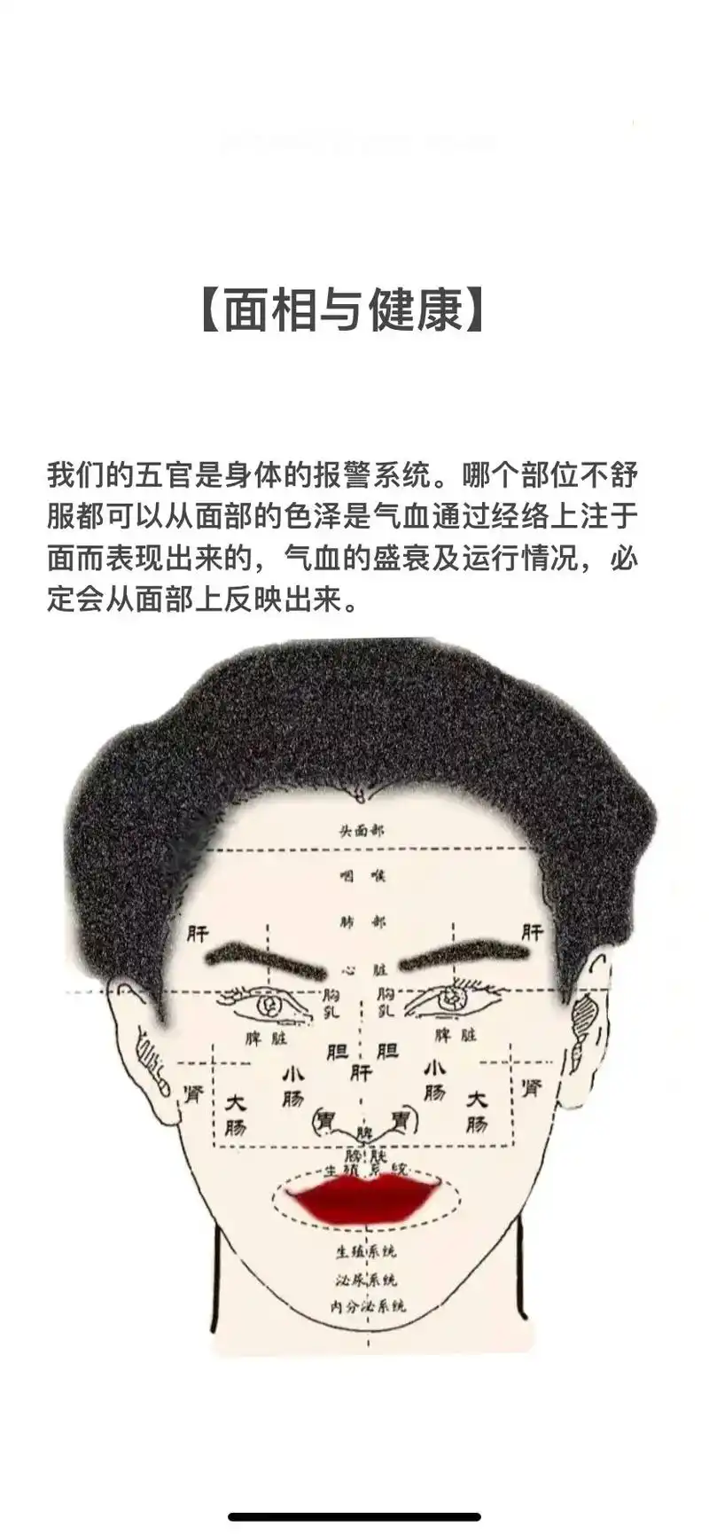 【面相与健康】我们的五官是身体的报警系统.