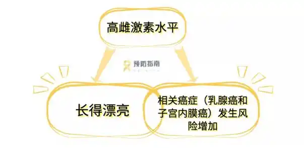 的女性,通常容貌姣好;而分泌过高的雌激素则会诱发乳腺癌和子宫内膜癌