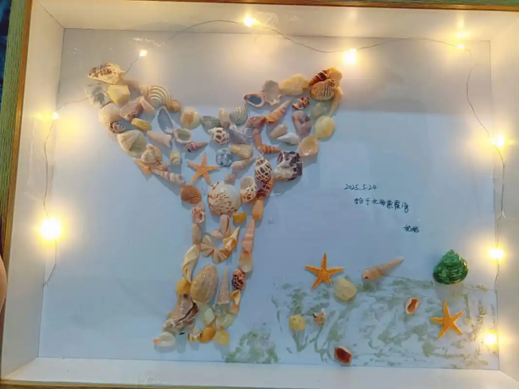 自己捡的贝壳做手工💎💎🖼🖼🖼