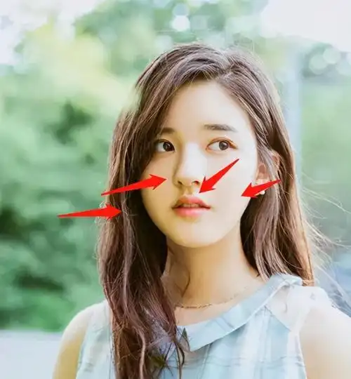 下半张脸上,突出的鼻小柱,尖尖的唇角和唇线明显的嘴巴,更是把她往