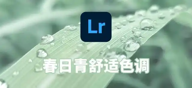 「调色教程」春日青舒适合调色