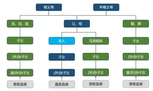 血缘关系图一,直系血亲和三代以内的旁系血亲;男女双方禁止结婚的情形