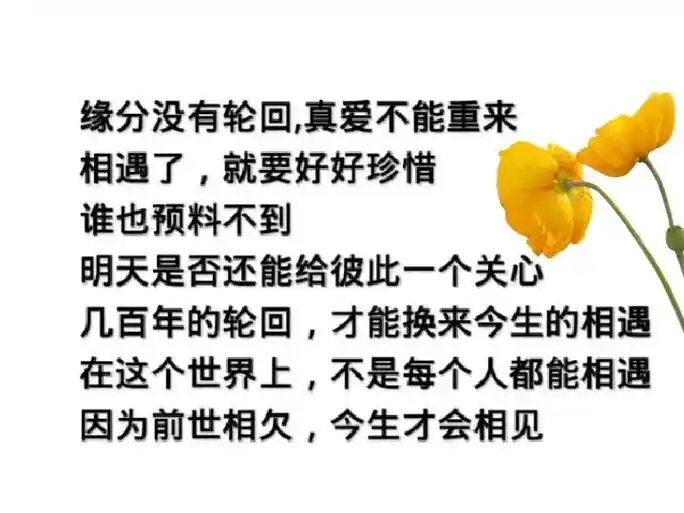 缘分没有轮回 真爱不能重来 相遇了就要好好珍惜 谁也预料不到 - 抖音