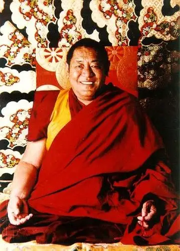 法王如意宝净土指归录